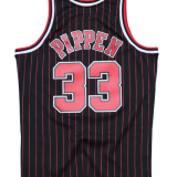 NBA Mitchell & Ness bull 33 stripes 1:1 Quality