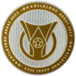 Brasileirão Assaí 2024 (巴甲普章)