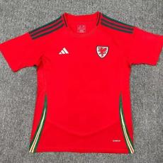 24/25 Wales Home Fans 1:1 Quality Soccer Jersey