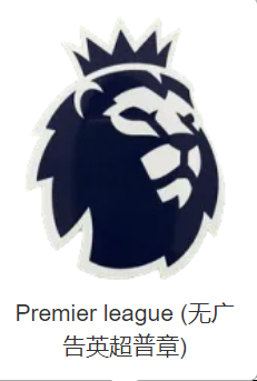 Premier league (无广告英超普章)