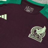 24/25 Mexico Wine Red And Green 1:1 Quality Training Jersey（A-Set）