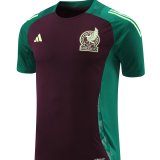 24/25 Mexico Wine Red And Green 1:1 Quality Training Jersey（A-Set）