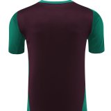 24/25 Mexico Wine Red And Green 1:1 Quality Training Jersey（A-Set）