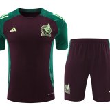 24/25 Mexico Wine Red And Green 1:1 Quality Training Jersey（A-Set）