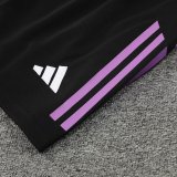 24/25 Germany Purple Black 1:1 Quality Training Vest（A-Set）