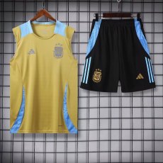 24/25 Argentina Yellow Black 1:1 Quality Training Vest（A-Set）