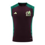 24/25 Mexico Wine Red And Green 1:1 Quality Training Vest（A-Set）