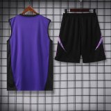 24/25 Germany Purple Black 1:1 Quality Training Vest（A-Set）