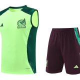 24/25 Mexico Green And Burgundy 1:1 Quality Training Vest（A-Set）