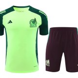 24/25 Mexico Green And Burgundy 1:1 Quality Training Jersey（A-Set）