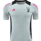 24/25 Juventus Grey 1:1 Quality Training Jersey（A-Set）