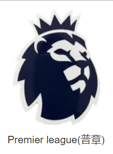 Premier league (无广告英超普章)