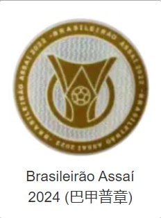 Brasileirão Assaí 2024 (巴甲普章)