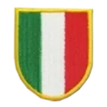 Shield(冠军盾)