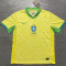 2024 Brazil Concept Edition Fans Soccer Jersey