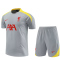 24-25 LIV Grey Training Short Suit