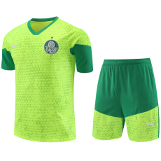 24-25 Palmeiras Fluorescent green Training Short Suit