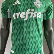 24-25 Palmeiras Green Special Edition Player Version Soccer Jersey