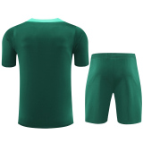 24-25 Portugal Green Training Short Suit