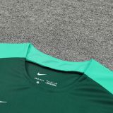 24-25 Portugal Green Training Short Suit