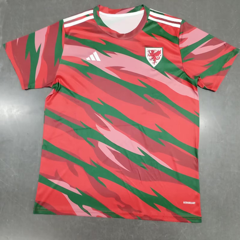 24-25 Wales Red Training shirts