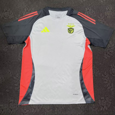 24-25 Benfica Grey Training Shirts