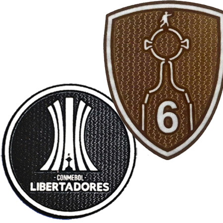 Libertadores 6 新解放者6杯